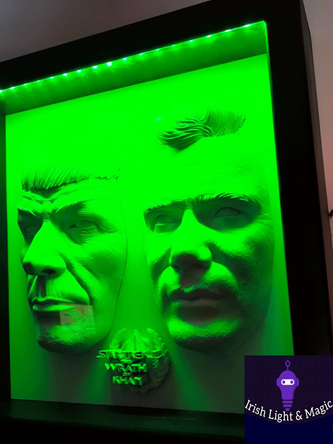 Star Trek Full size Kirk and Spock realistic lighted frame